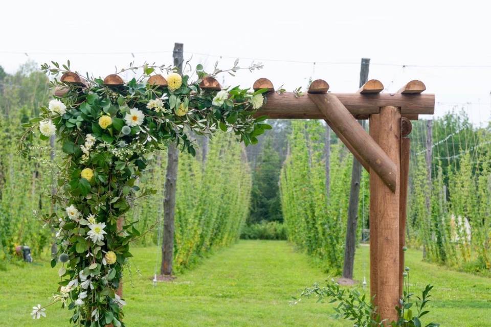 Blume Vermont