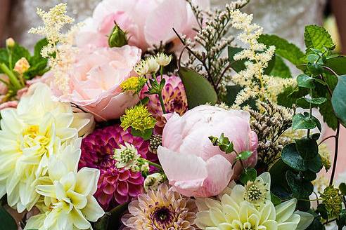 Blume Vermont
