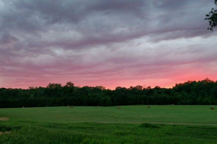 Ivy Oaks Farm