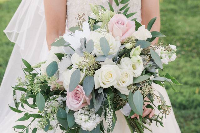 Rachel Watkinson Photography