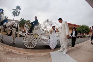 Honolulu Horse and Carriage