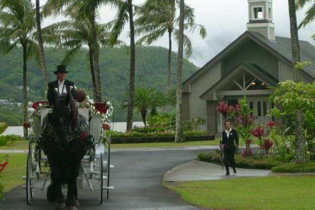 Honolulu Horse and Carriage