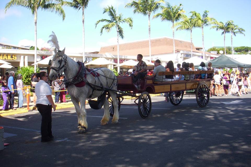 Honolulu Horse and Carriage