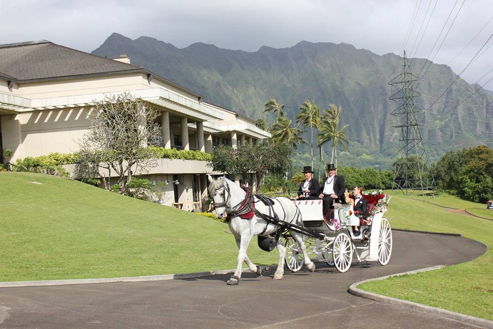 Honolulu Horse and Carriage