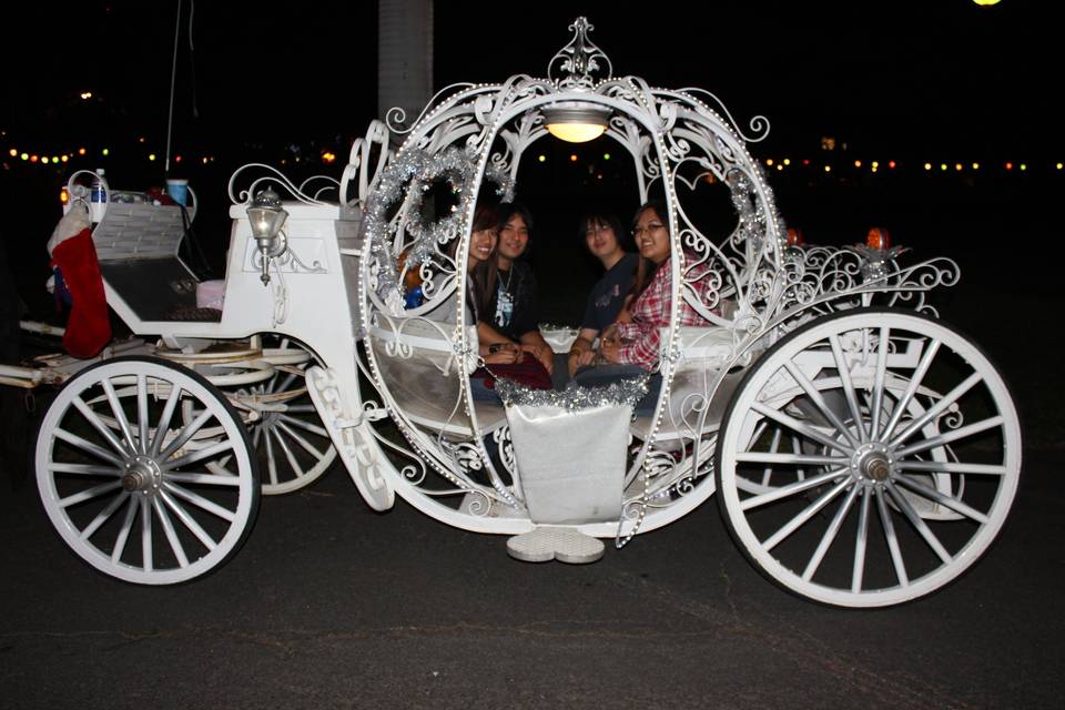 Honolulu Horse and Carriage