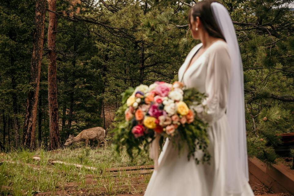 Wedding Details