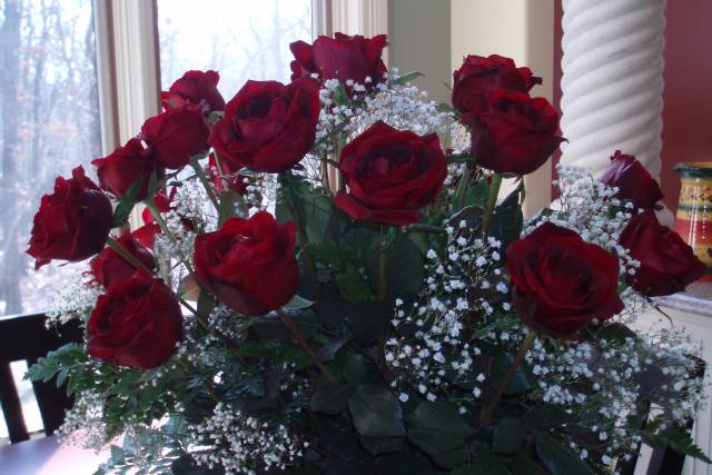 Donna Richey, Pianist