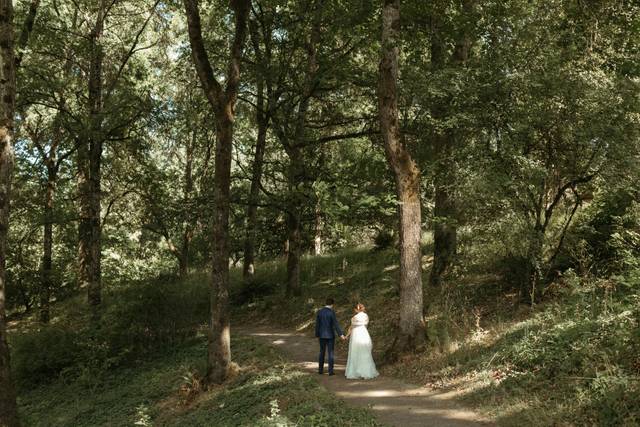 Bride and groom in the trees