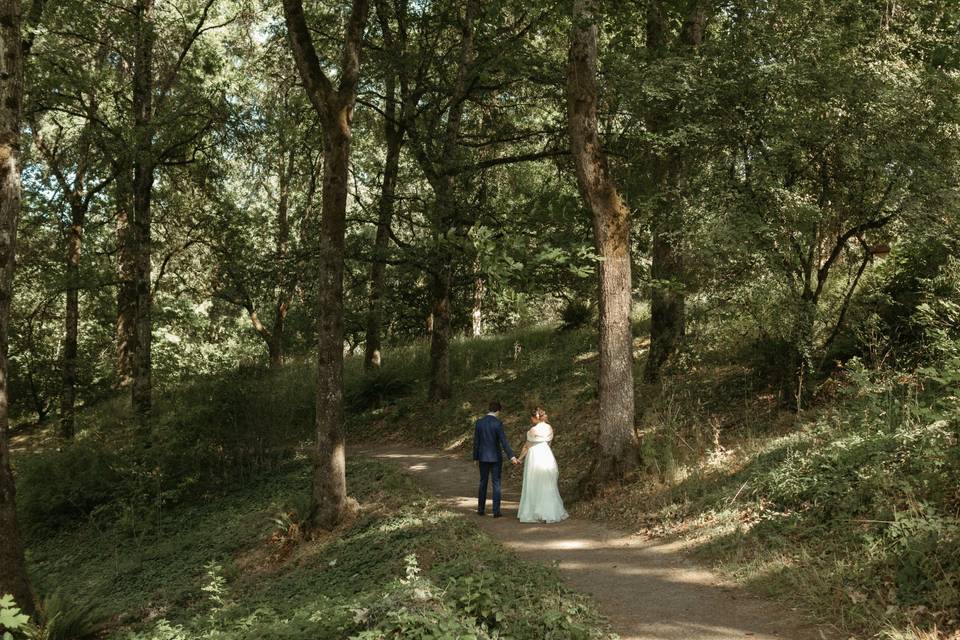 Bride and groom in the trees