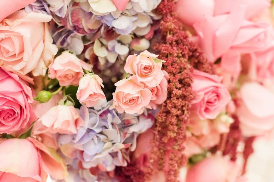 Pink and peach roses | Photo Credit: Sweet Williams Photography