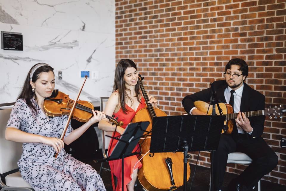 Cello, Violin, & Guitar Trio