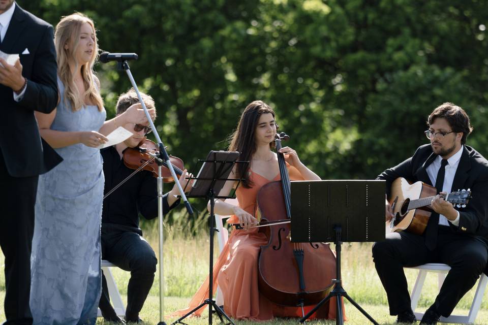 Cello, Violin, & Guitar Trio