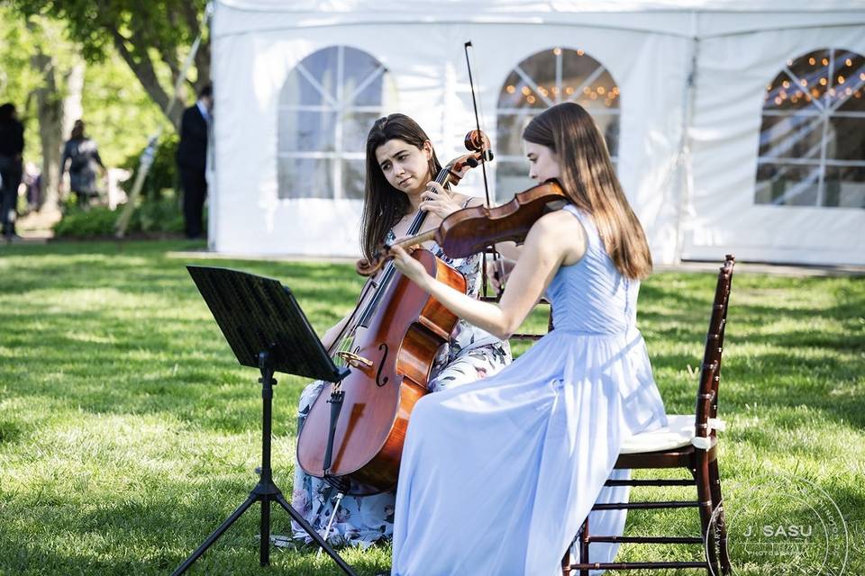Cello and Violin Duo