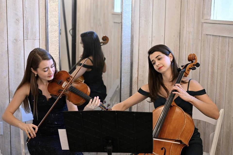 Cello and Violin Duo