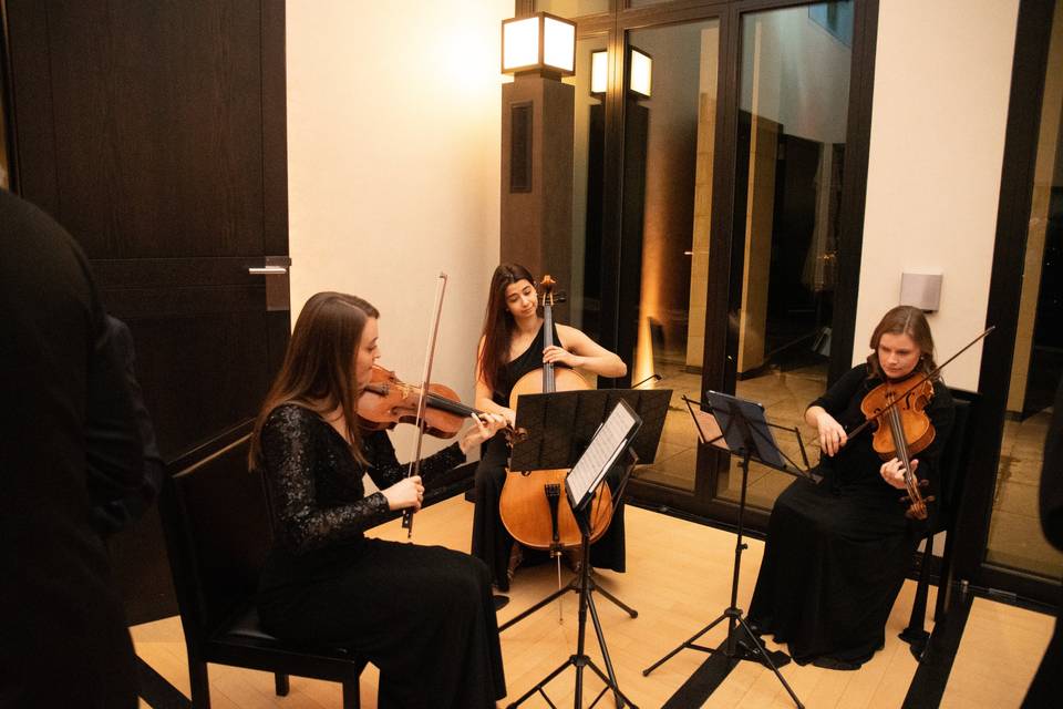 String Trio