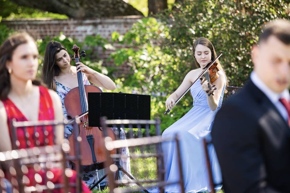 Cello and Violin Duo