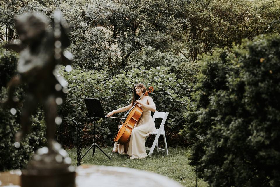 Cello Solo