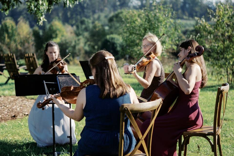 String Quartet