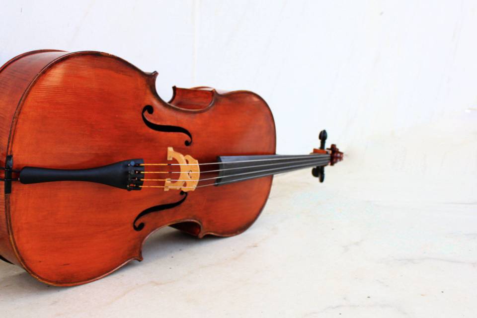 The cello