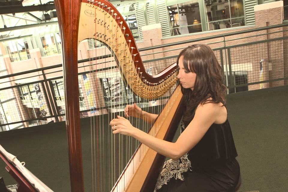 Jill Grohusky - Harpist, Pianist, Accompanist