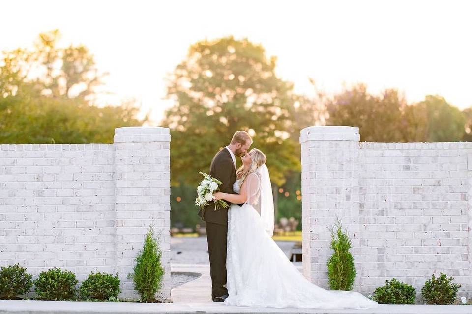 Newlywed Portraits