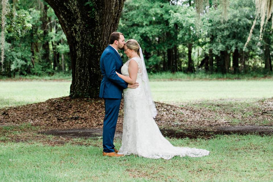 Georgia Spanish Moss