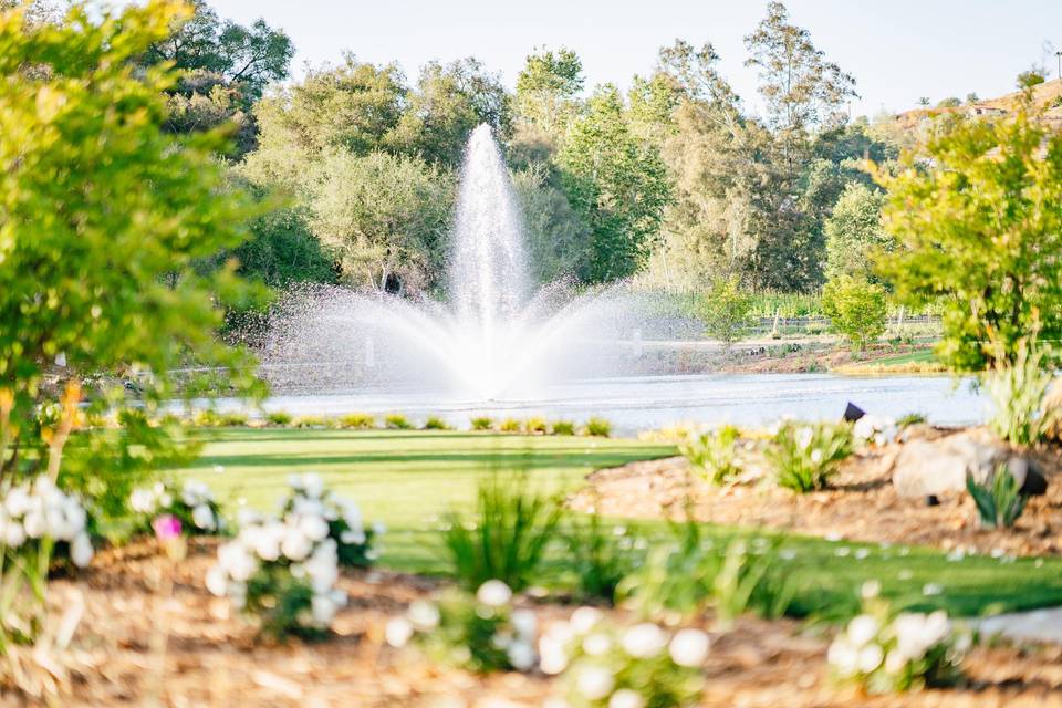 Water fountain