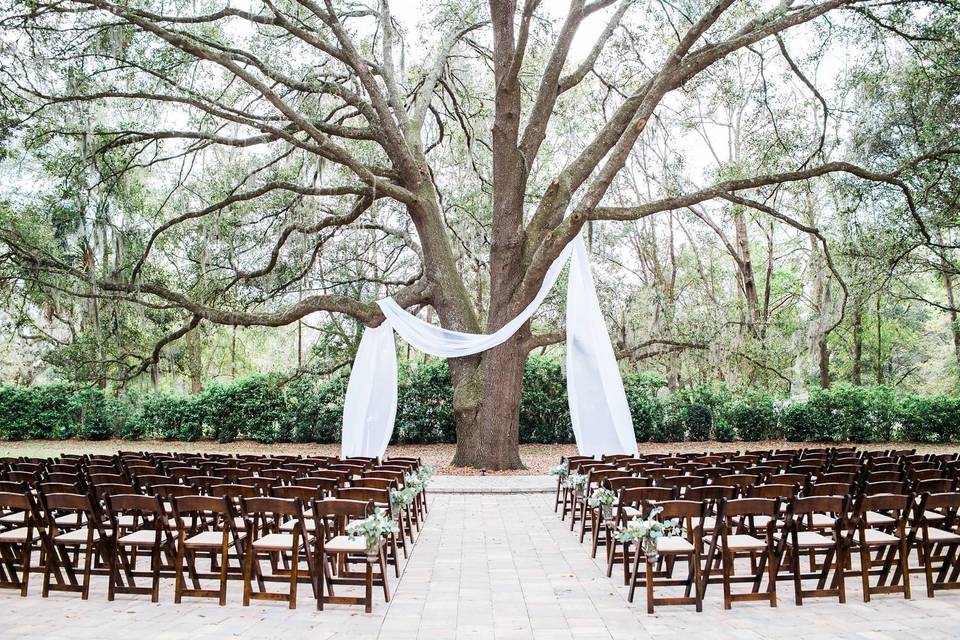 Fabric Draped Altar Tree