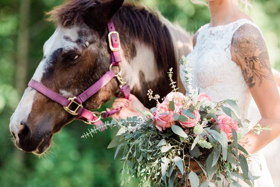 Rescue Sanctuary Wedding