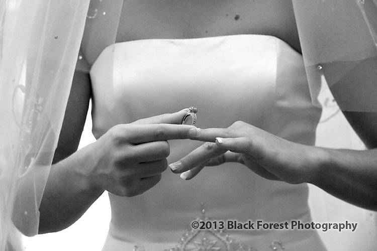 Black Forest Photography, Inc.