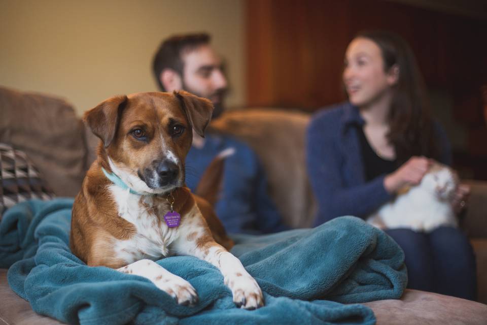 Engagement Sessions