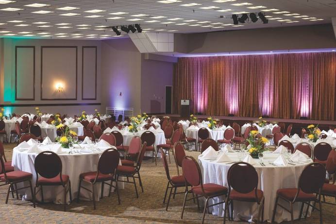 Doubletree Williamsburg