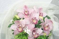 A Special Day Wedding Planner