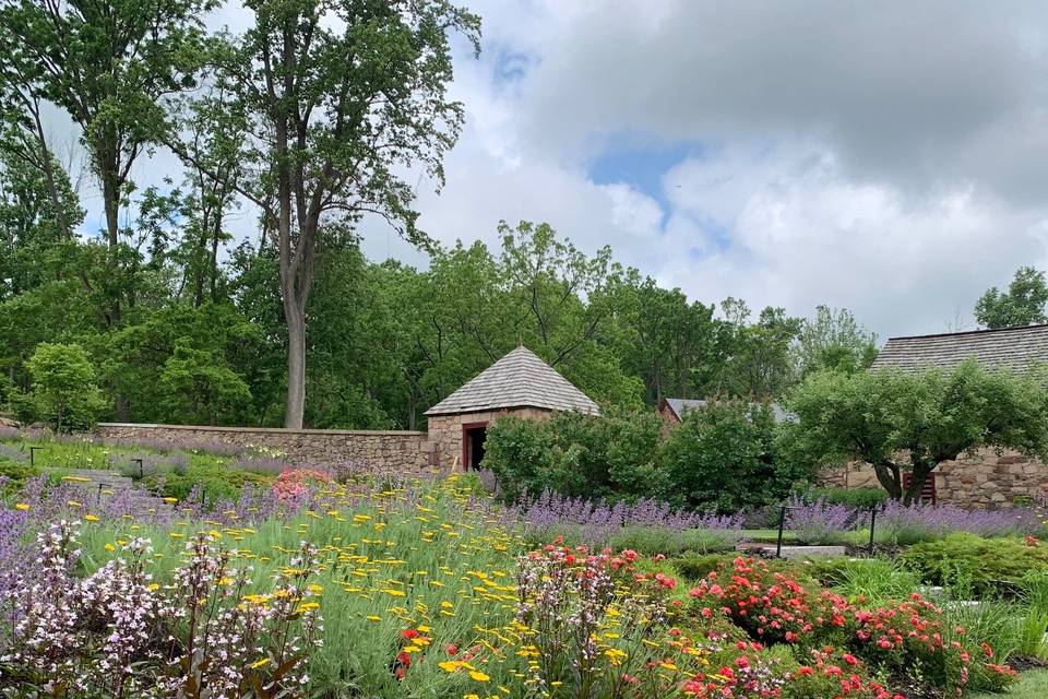 Spring At Elizabeth Furnace