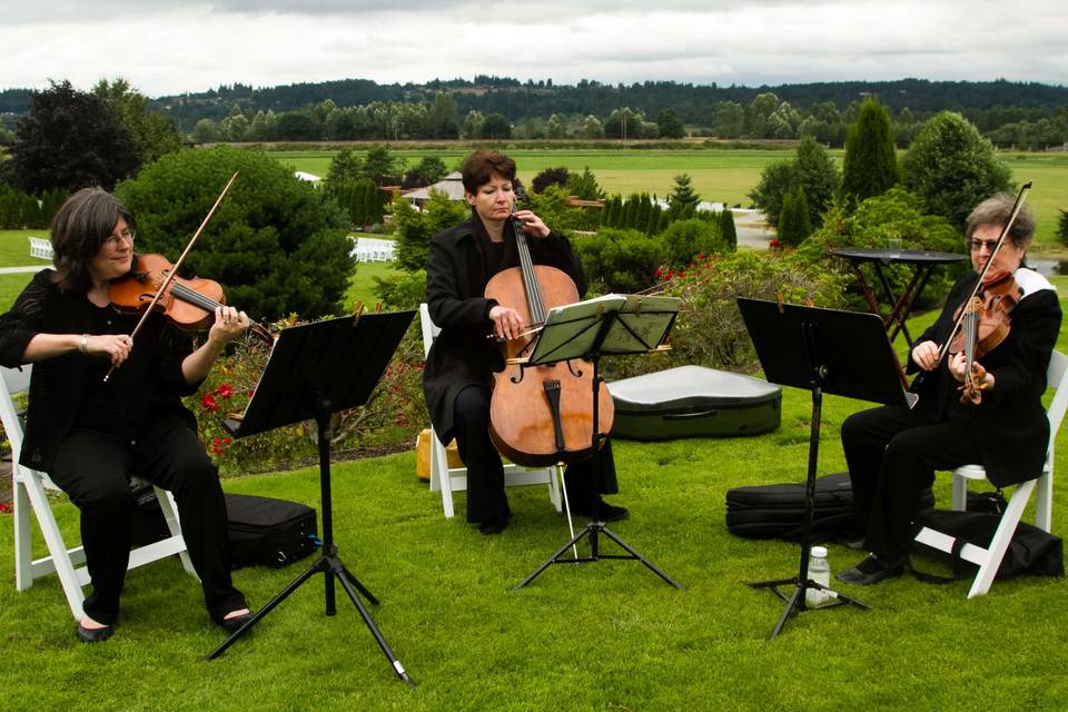 String trio