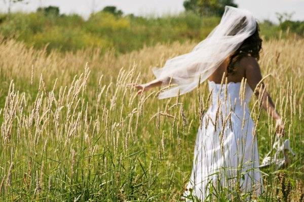 Jennifer Robertson Photography