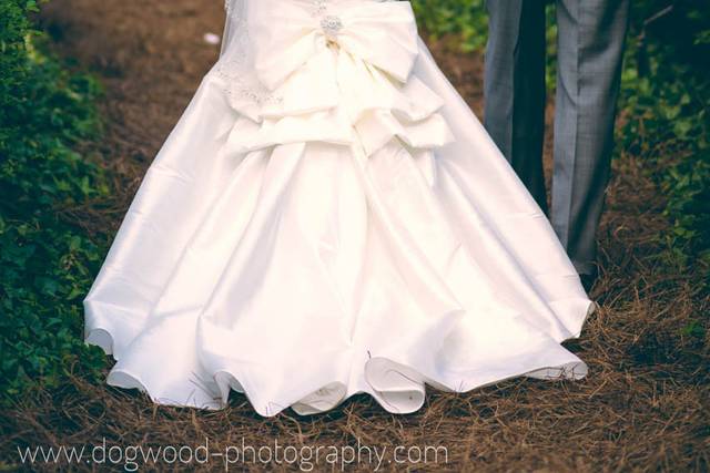 Dogwood Photography