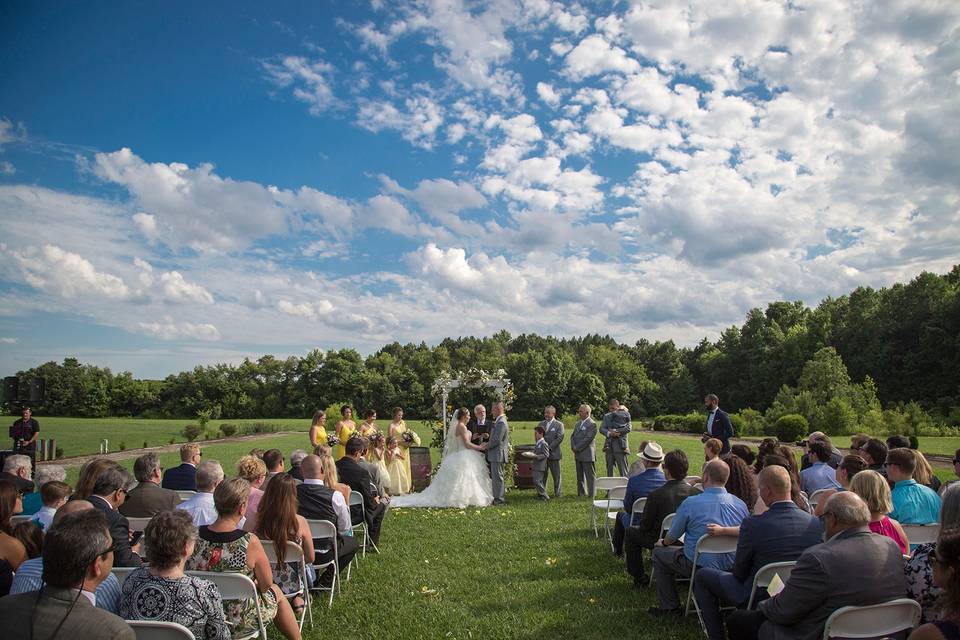 The wedding