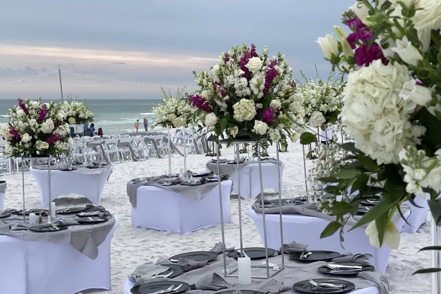 Exquisite Weddings & Events