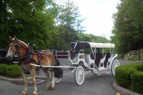 Carriage for the married couple