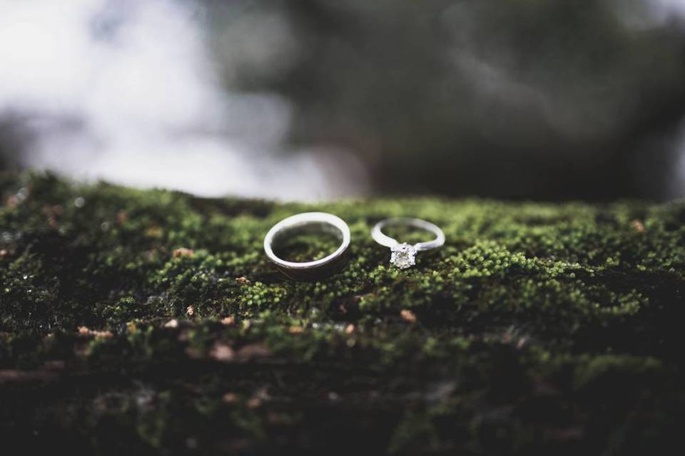 The wedding rings