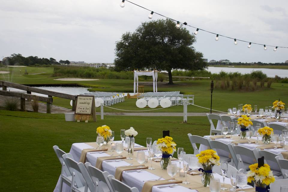 Yellow sunflowers