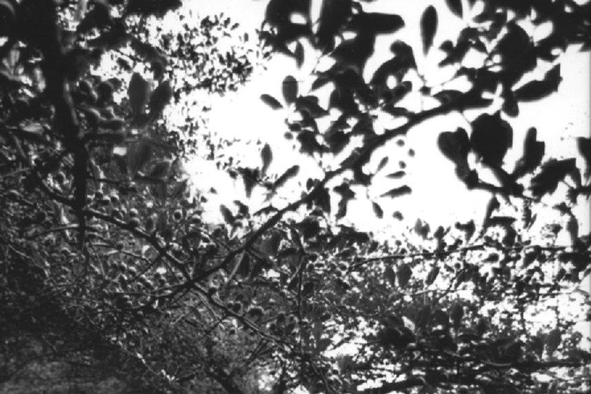 Dorothy Perry Photography