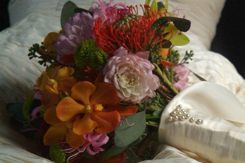 Dorothy Perry Photography