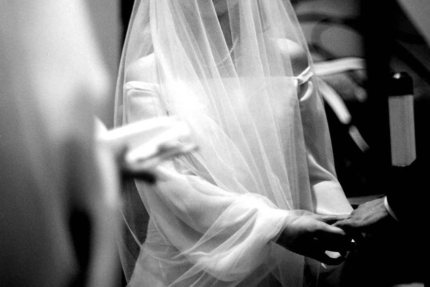 Dorothy Perry Photography
