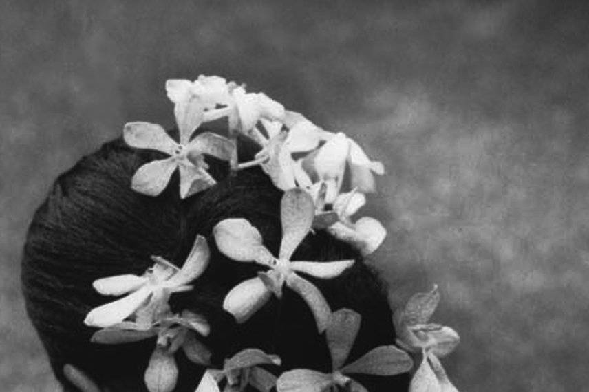 Dorothy Perry Photography