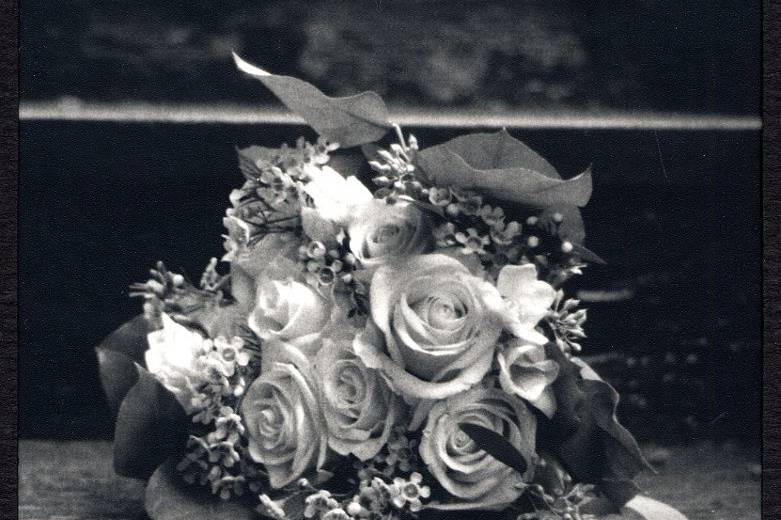 Dorothy Perry Photography