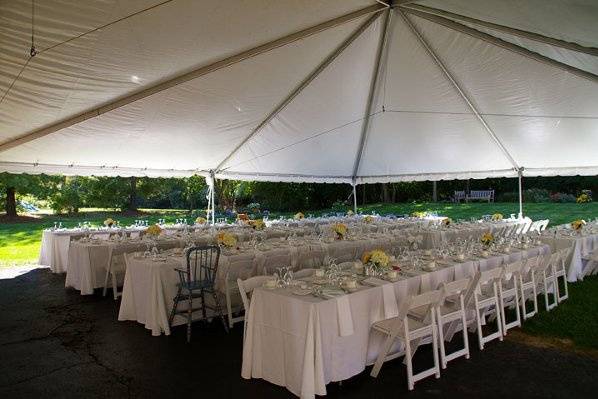 Reception setup