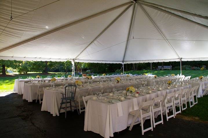 Warming Plate, Electric (20 x 24) - Grand Events Tent & Event Rental