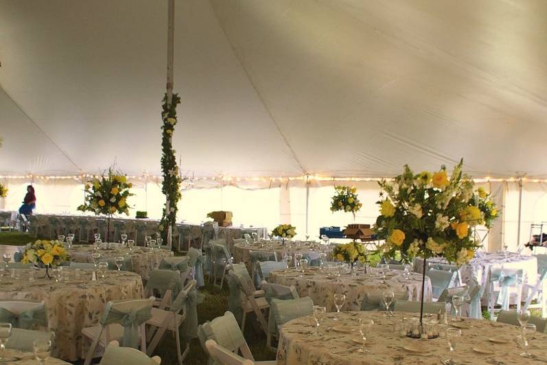 Warming Plate, Electric (20 x 24) - Grand Events Tent & Event Rental